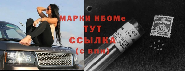 ALPHA PVP Бородино