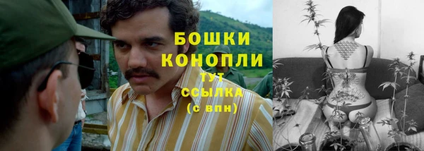 мдпв Бугульма