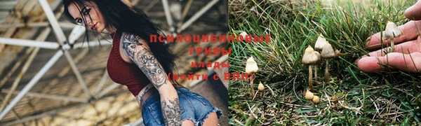 эйфоретик Бронницы