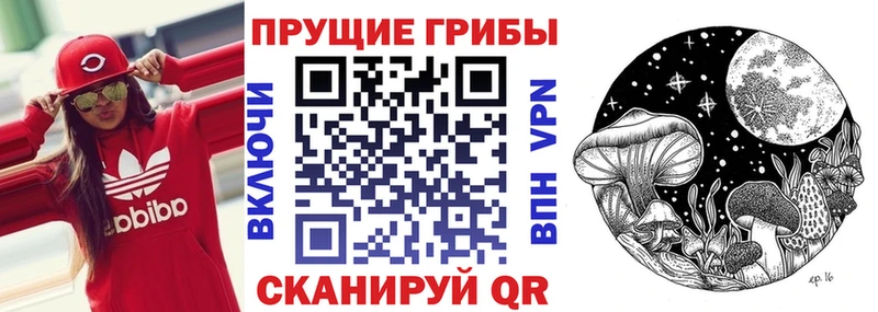 Галлюциногенные грибы Magic Shrooms  наркотики  Березники 